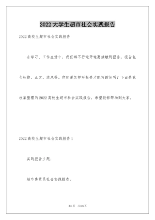 2024大学生超市社会实践报告_13