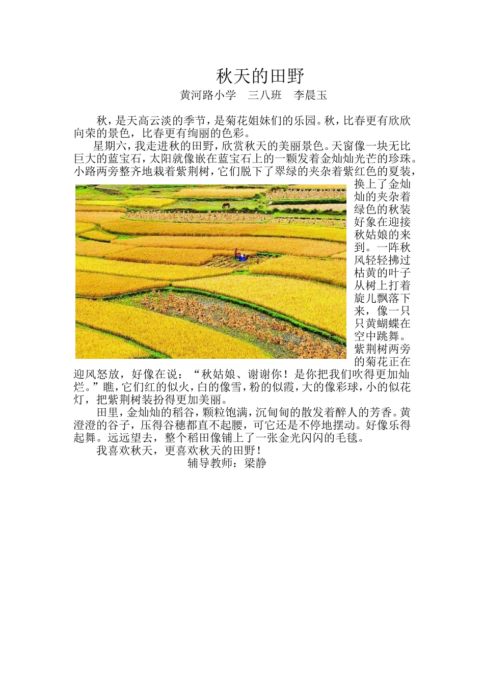 秋天的田野李晨玉_第1页
