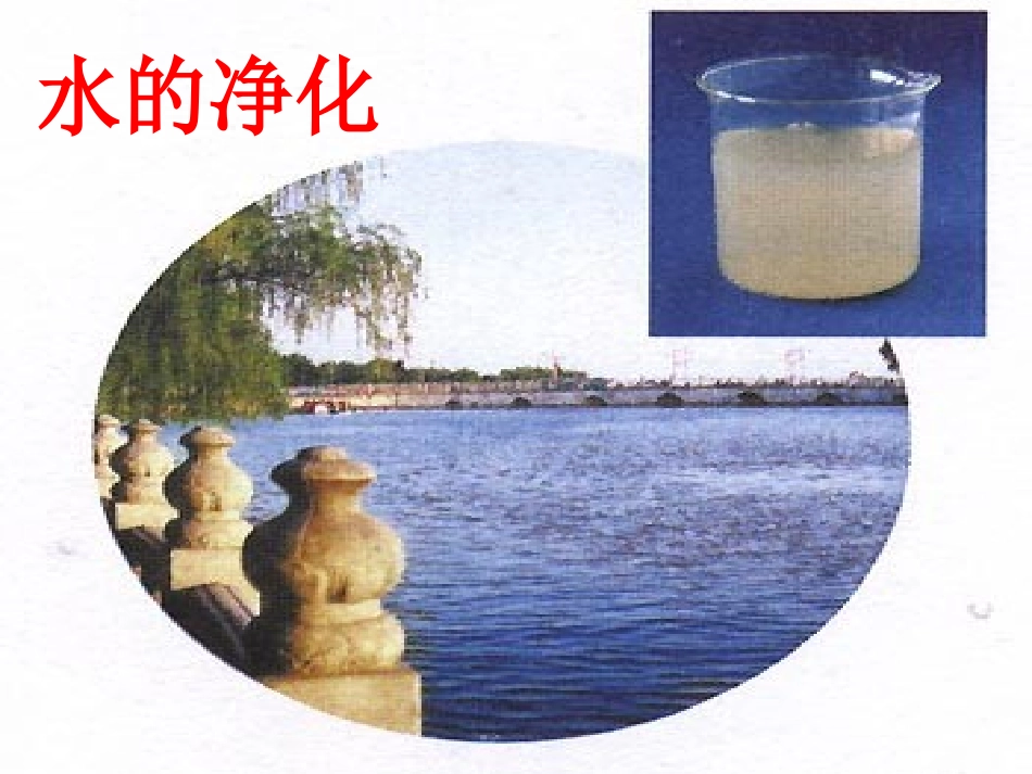 水的净化 (2)_第1页