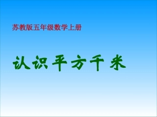 《认识平方千米》PPT课件
