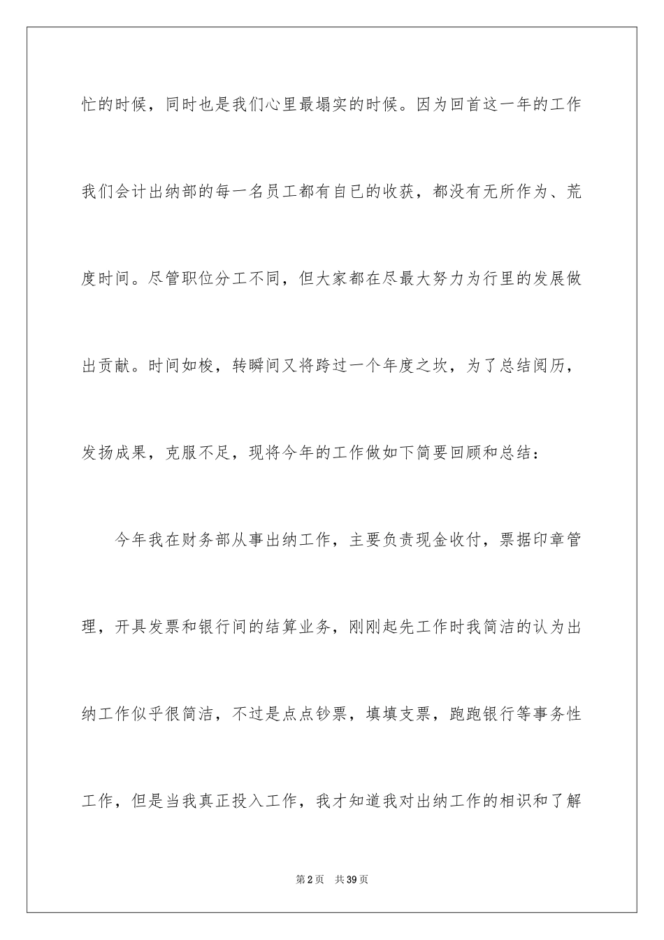 2024出纳个人工作总结_16_第2页