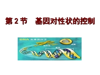 用基因对性状的控制