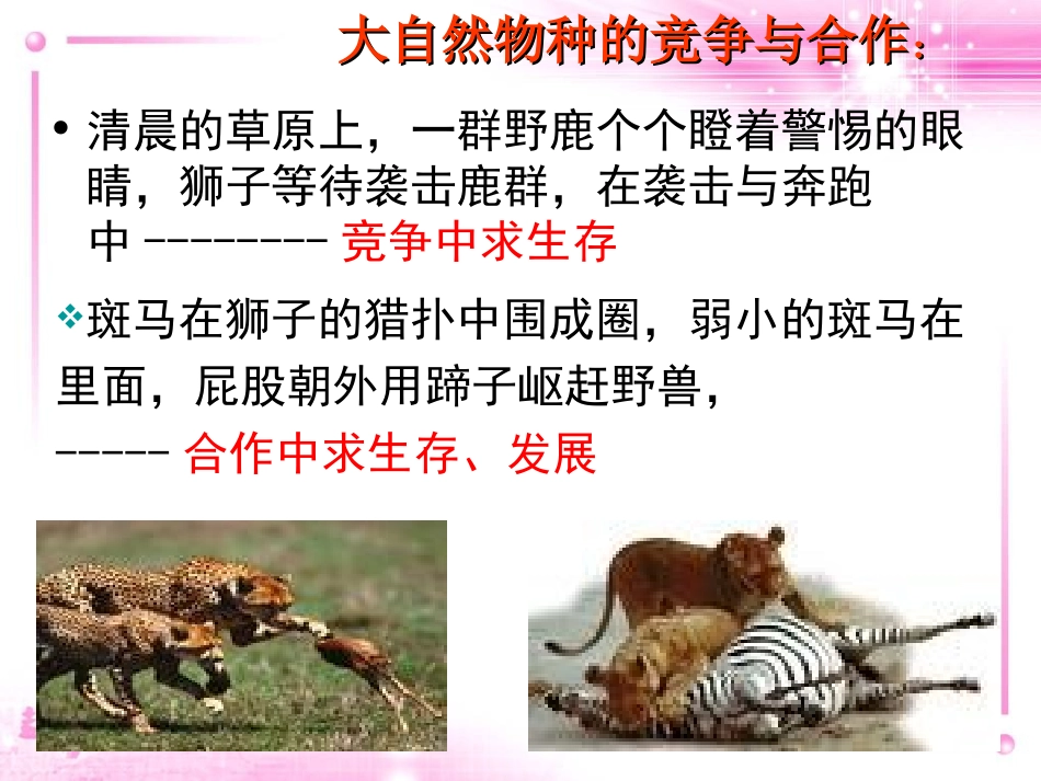 竞争？合作？课件_第2页