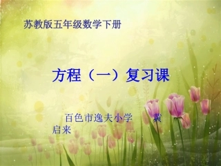 苏教版五年级数学下册方程(一）复习