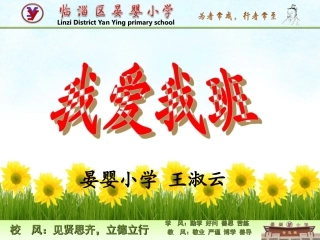 王淑云交流材料