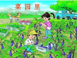 人教版小学一年级语文上册《菜园里》课件