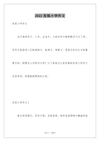 2024发现小学作文