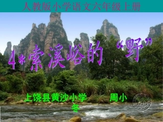 六年级语文上册第一组4索溪谷的“野”第一课时课件