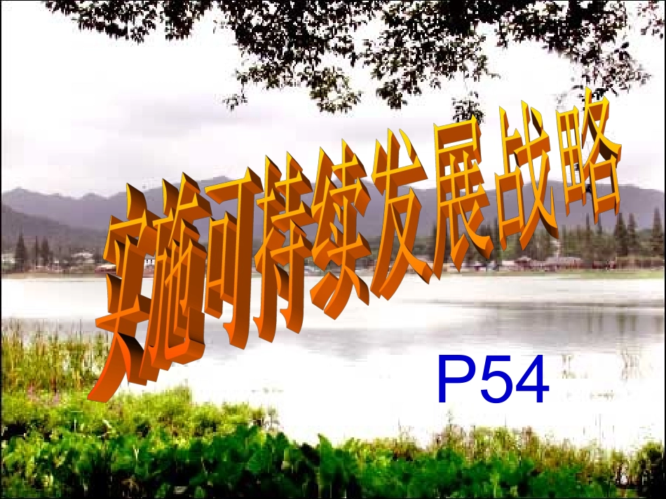 2011实施可持续发展战略（吴）_第1页