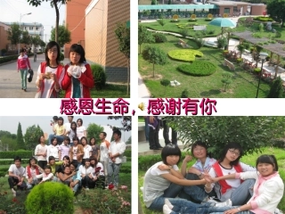 感恩生命，感谢有