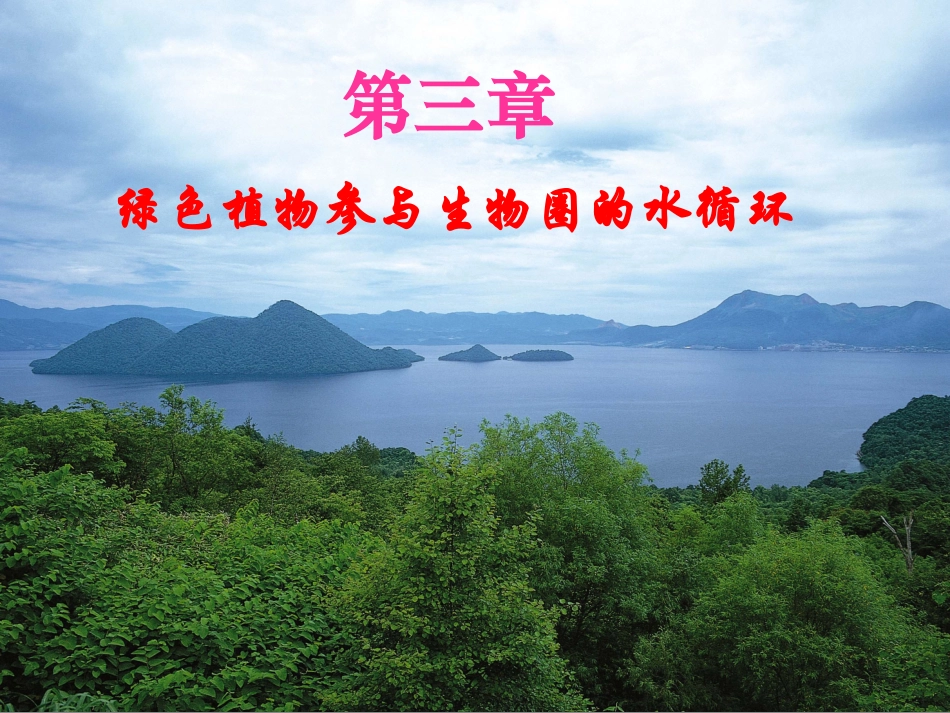 生物第三章绿色植物参与生物圈的水循环课件（人教新课标七年级上）_第2页