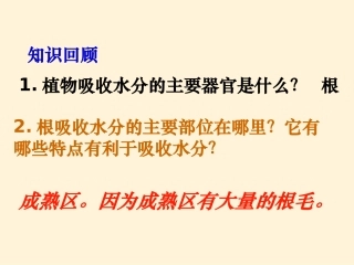 生物第三章绿色植物参与生物圈的水循环课件（人教新课标七年级上）
