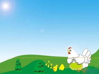 母鸡课件梁利仙