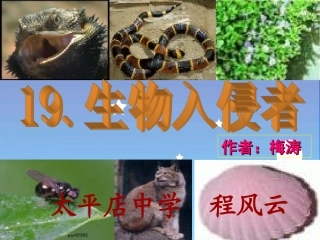 生物入侵者ok