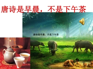 唐诗是早晨_不是下午茶