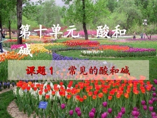 课题1常见的酸和碱 (2)