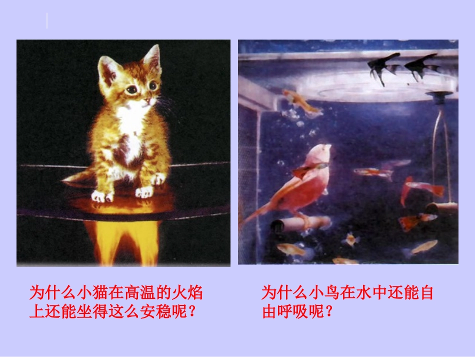 绪言化学使世界变得更加绚丽多彩PPT1_第2页