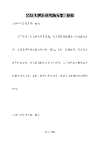 2024大班科学活动方案：磁铁