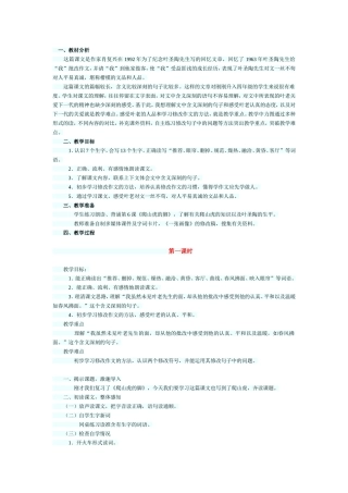 《那片绿绿的爬山虎》教案