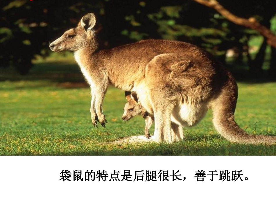 从现在开始课件崔海艳_第2页