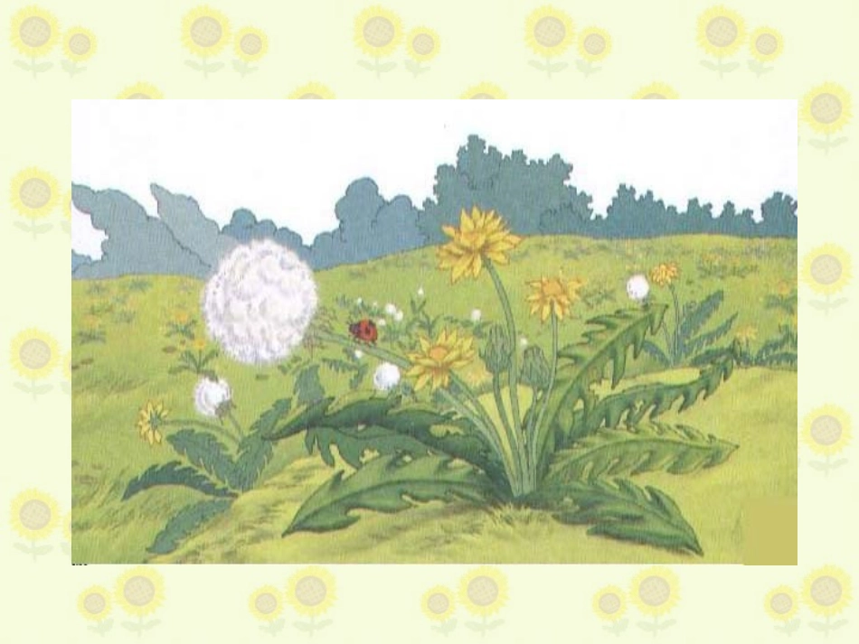 金色的草地PPT课件_第2页