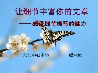 细节描写课件