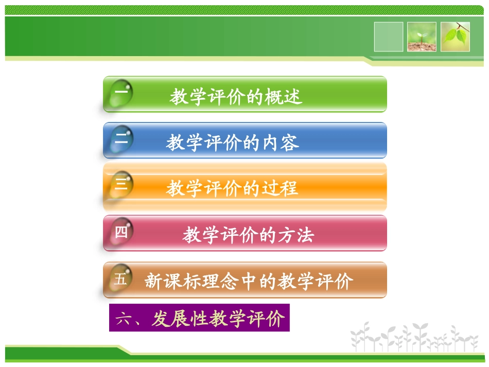 教学评价的理论与案例分析1117_第2页