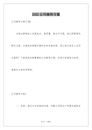 2024公司接待方案_2