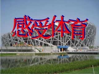 《感受体育》参考课件