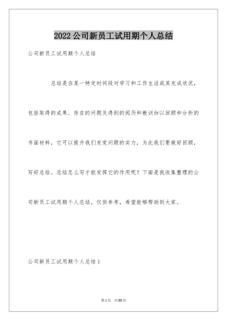 2024公司新员工试用期个人总结