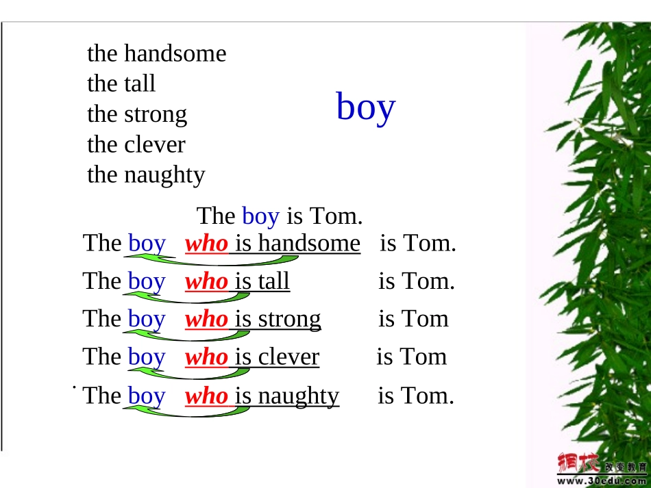 初中英语定语从句课件_第2页