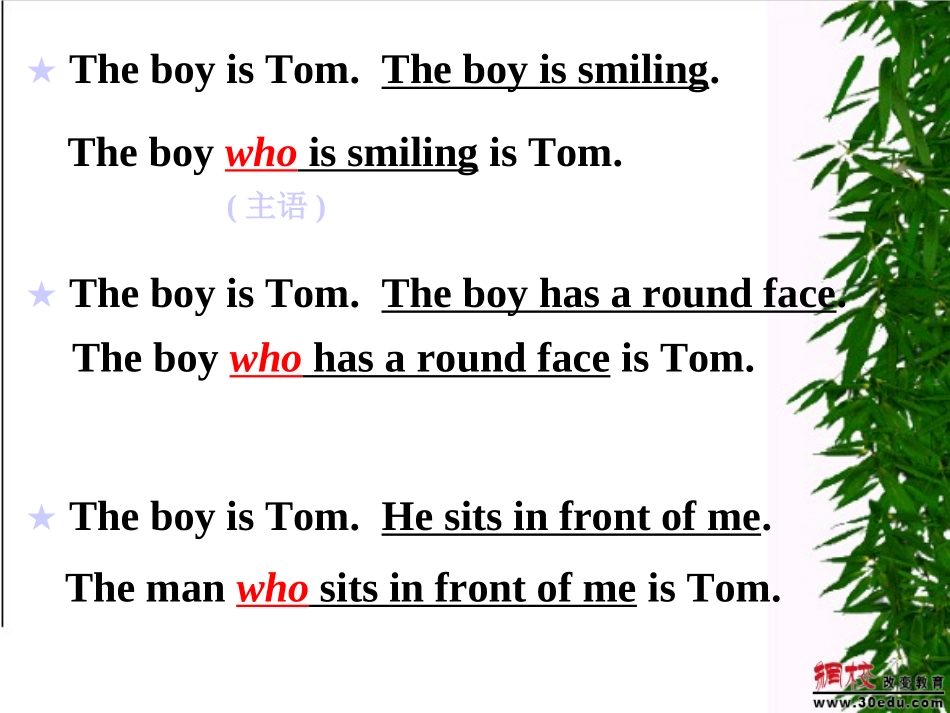 初中英语定语从句课件_第3页