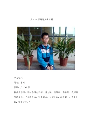 八（3）路灯材料【含照片】