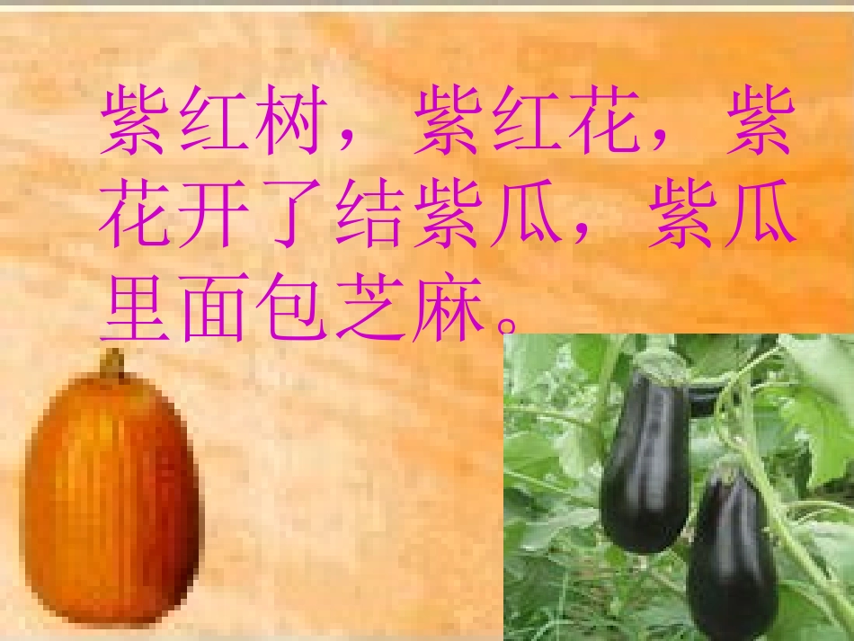 在蔬菜的王国里_第1页