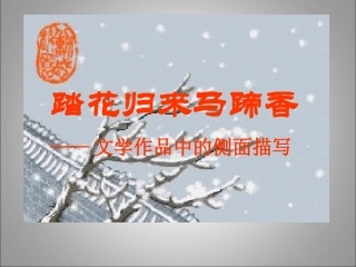 文学作品中的侧面描写