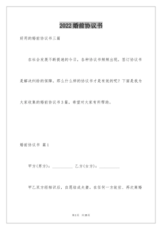 2024婚前协议书_6