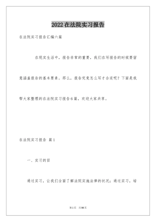 2024在法院实习报告_26