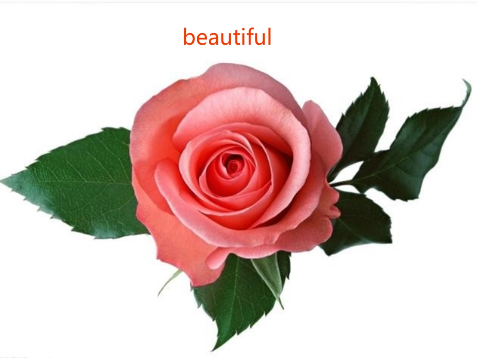 人教版pep（2012教材）小学三下Unit6HowmanyPeriodOne课件_第3页