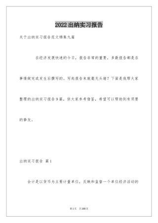2024出纳实习报告_3