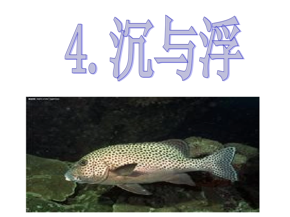 沉与浮教科版_第3页