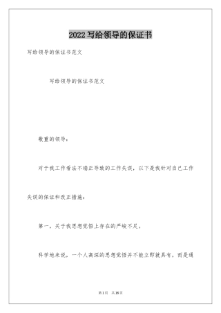 2024写给领导的保证书_2