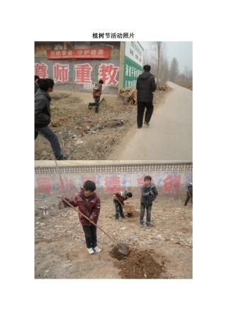 植树节活动照片