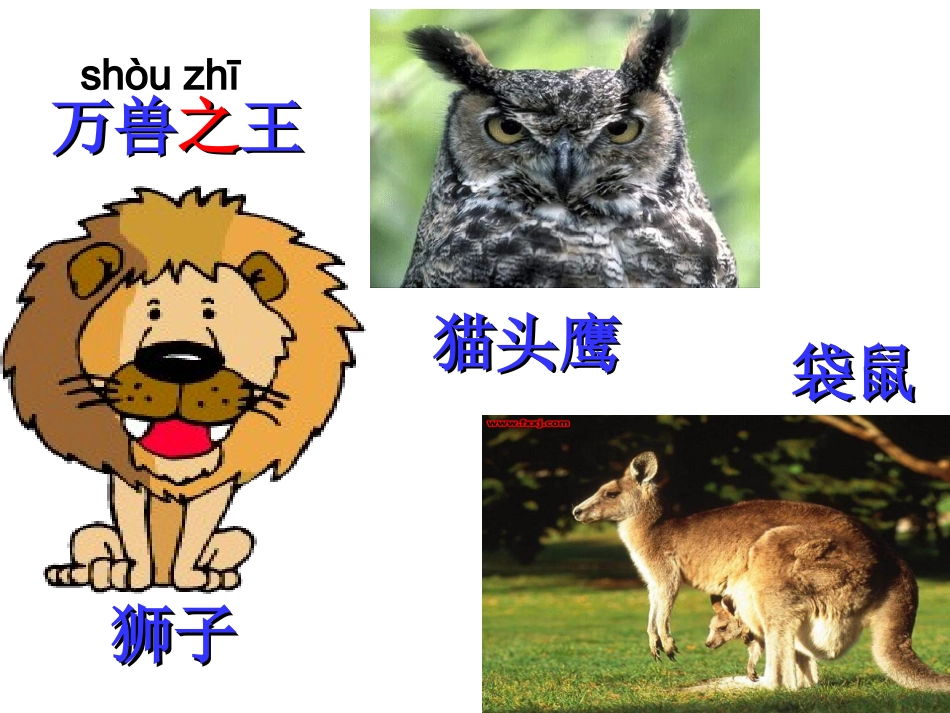 语文-二年级-《从现在开始》-刘利_第1页