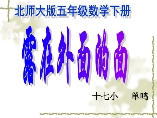 《露在外面的面》PPT课件