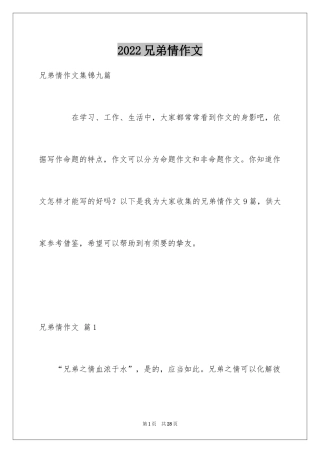 2024兄弟情作文_9