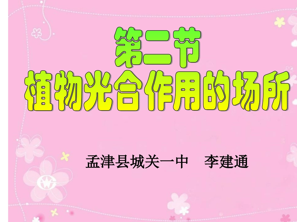 《植物光合作用的场所》课件孙晓_第3页