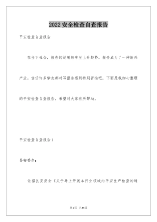 2024安全检查自查报告