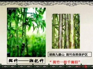 湘夫人第一课时