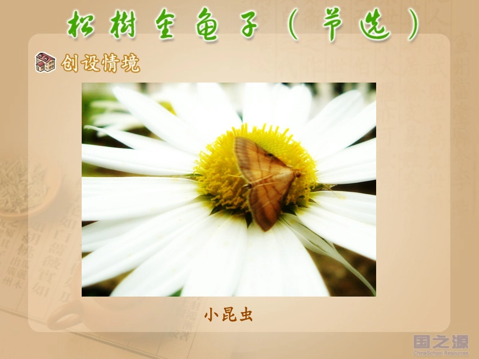 松树金龟子（节选）_第3页