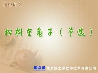 松树金龟子（节选）